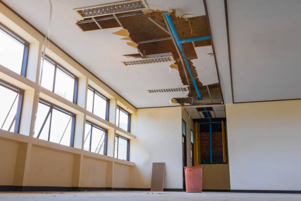 Best Professional water damage repair  in Litchfield Park, AZ
