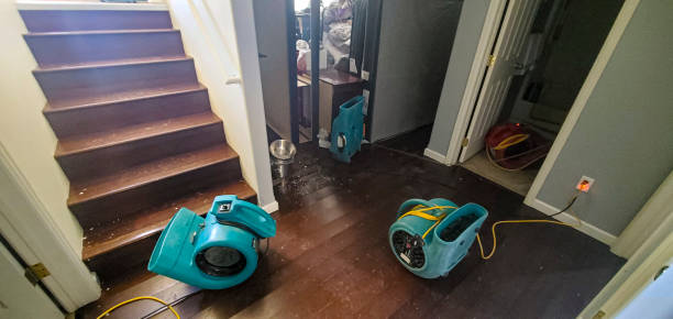 Best Water damage restoration near me  in Litchfield Park, AZ