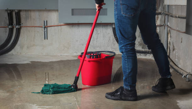 Best Flood damage cleanup  in Litchfield Park, AZ
