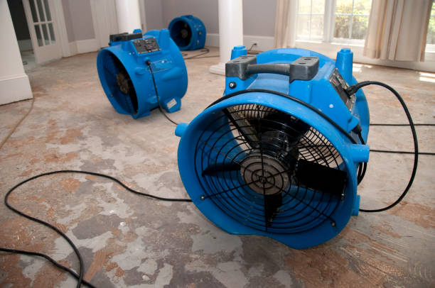 Best Ceiling water damage repair  in Litchfield Park, AZ