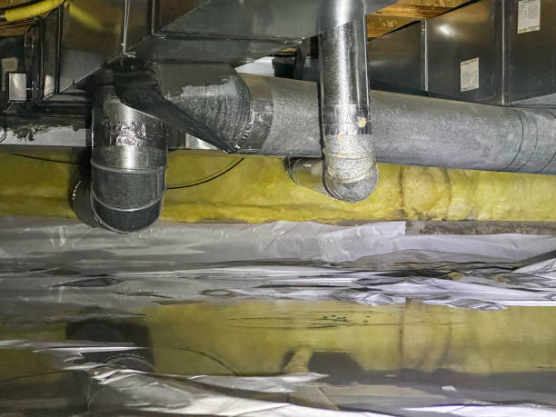 Best 24/7 water damage repair  in Litchfield Park, AZ