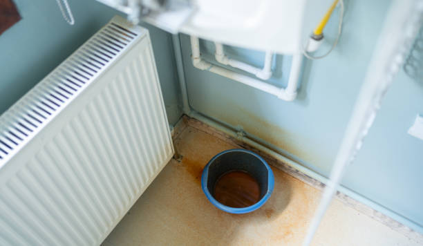 Best Water damage contractors near me  in Litchfield Park, AZ
