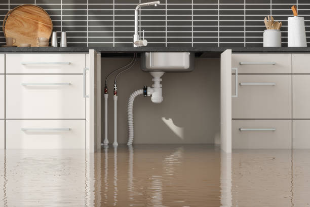 Best Flood restoration services  in Litchfield Park, AZ